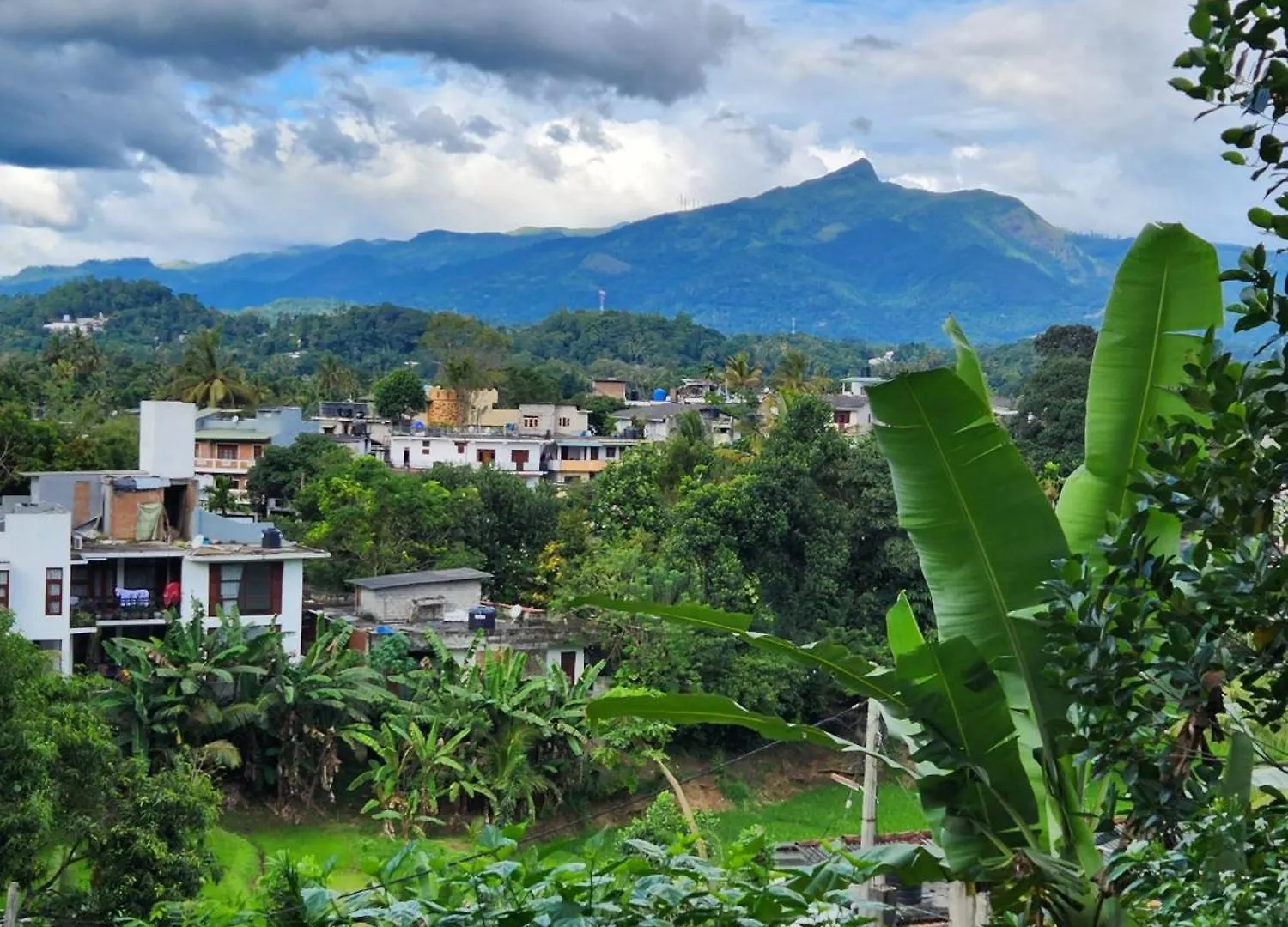 Bed & Breakfast Cozy Cove Kandy Sri Lanka