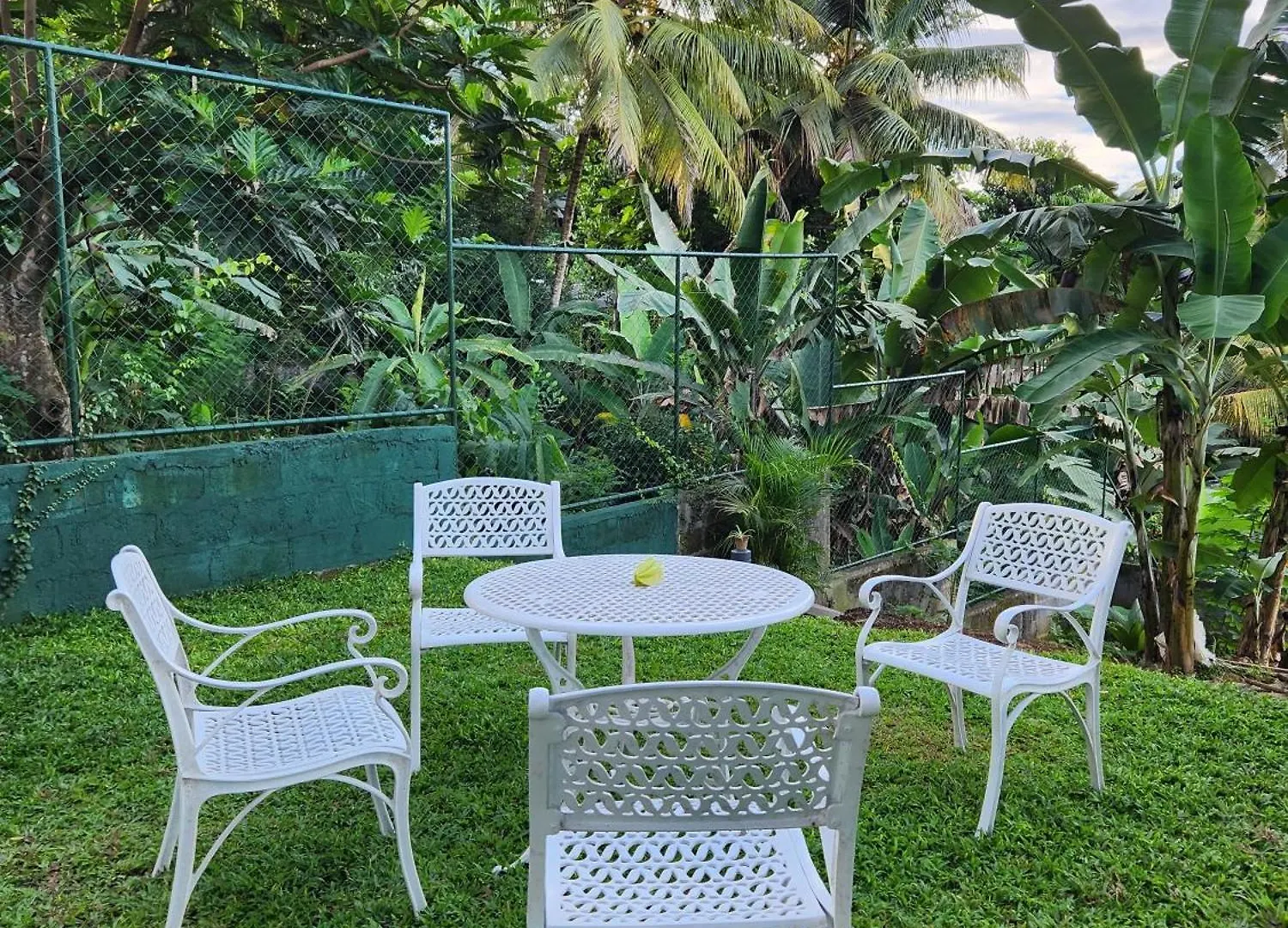Cozy Cove Kandy